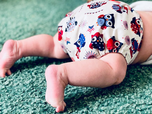 Cloth Diaper Buying Guide